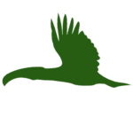 Symbolic green bird in flight representing eco-friendly real estate and living with nature in Costa Rica