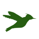 El logotipo del colibrí verde simboliza la propiedad inmobiliaria ecológica y la vida sostenible en Costa Rica.
