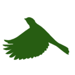 Green silhouette of a Tangara bird in flight facing left, symbolizing eco-living and nature-inspired design